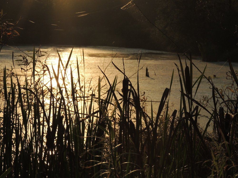 Photograph by Татьяна