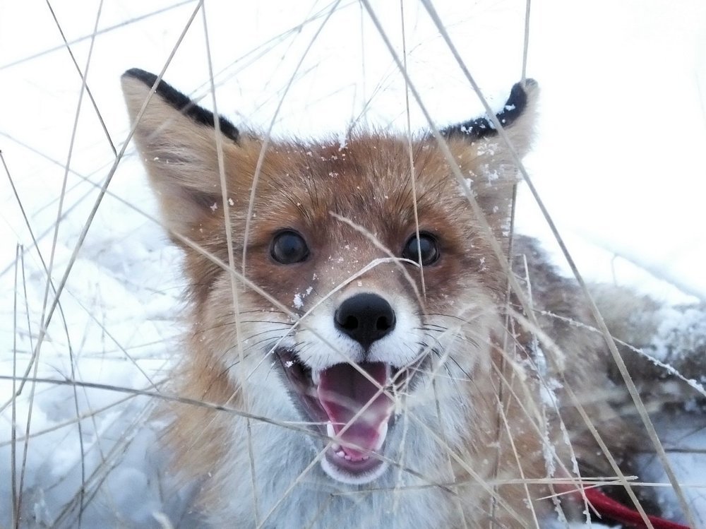А вы меня для кино снимаете ?