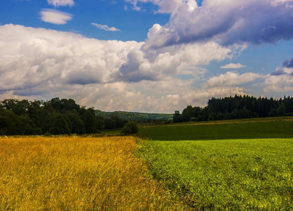 Игра оттенков.
