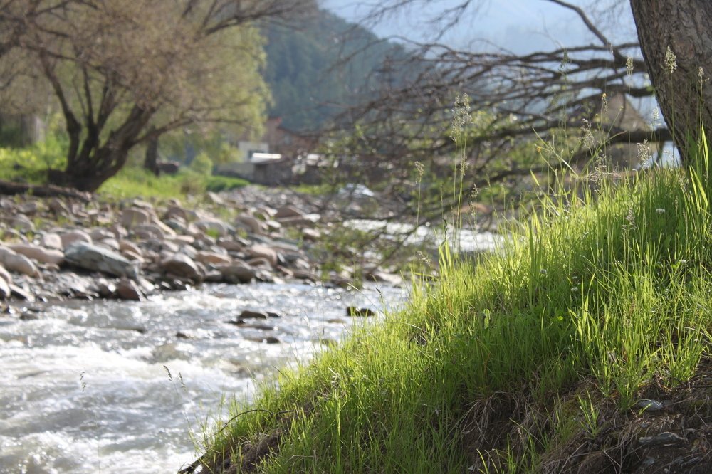 Фотография автора Алина