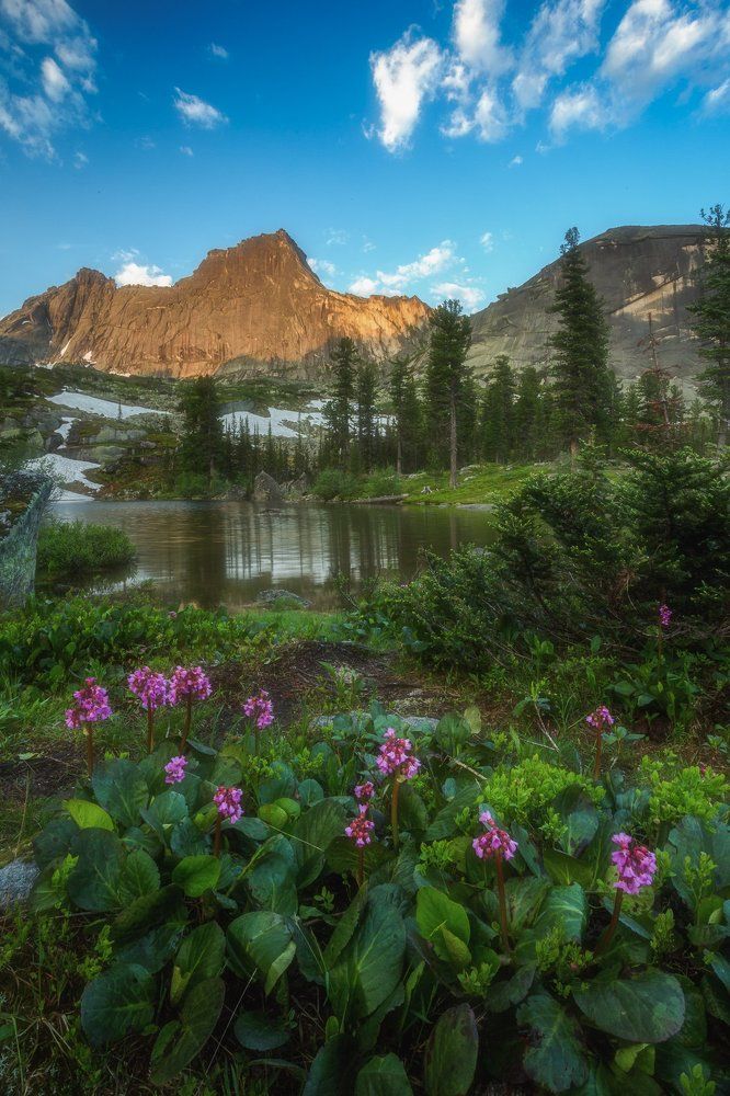 Лето. Жара. Июнь.