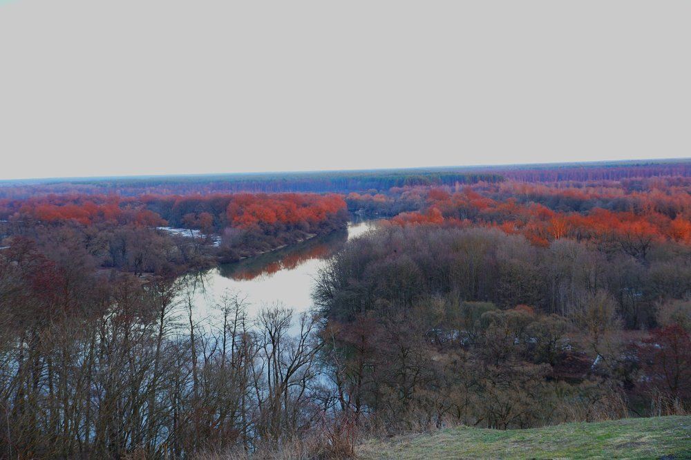Река десна родина соловья разбойника