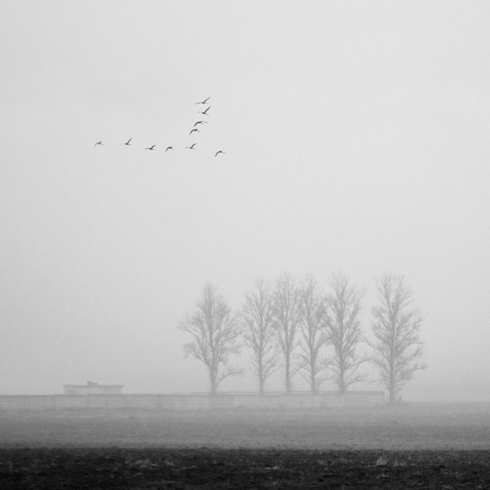 Осеннее поле