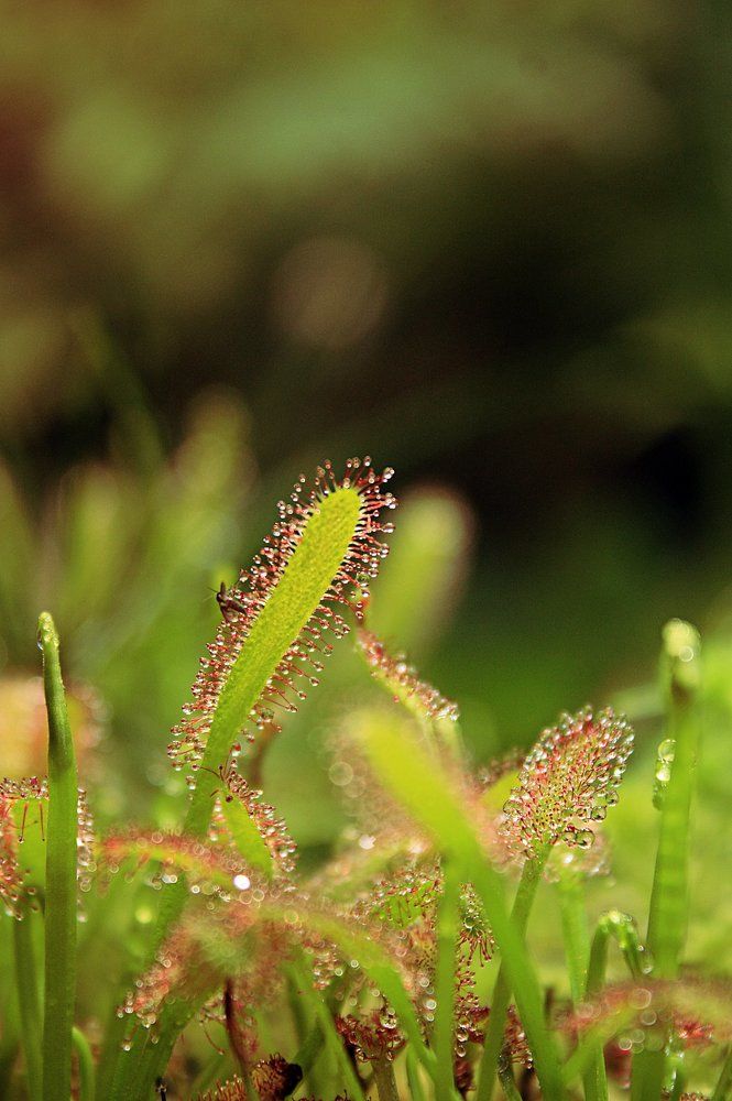 Отпусти меня