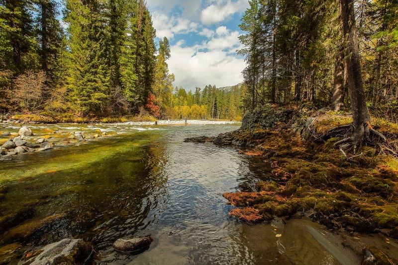 Екатерина, Russia