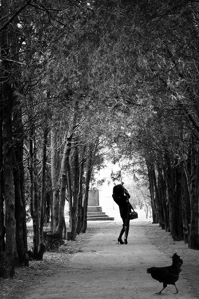 Легенда про чёрную курицу