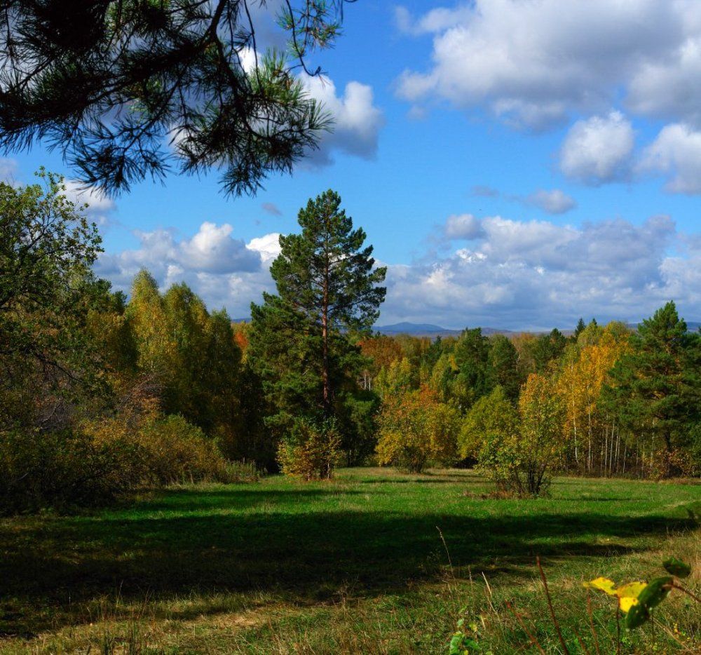 Окно в осень.