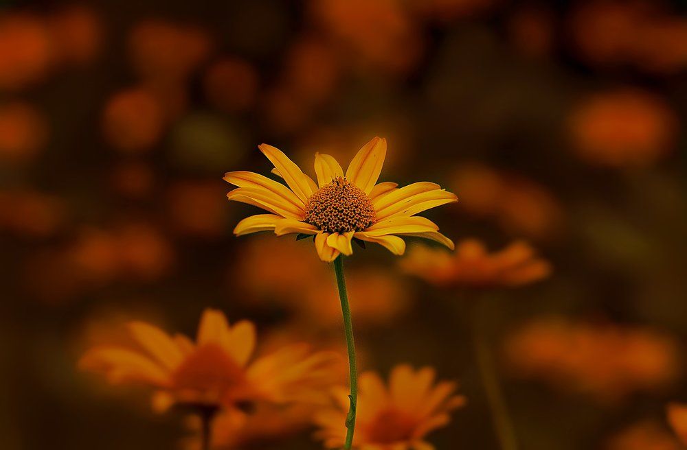 Photograph by Мария