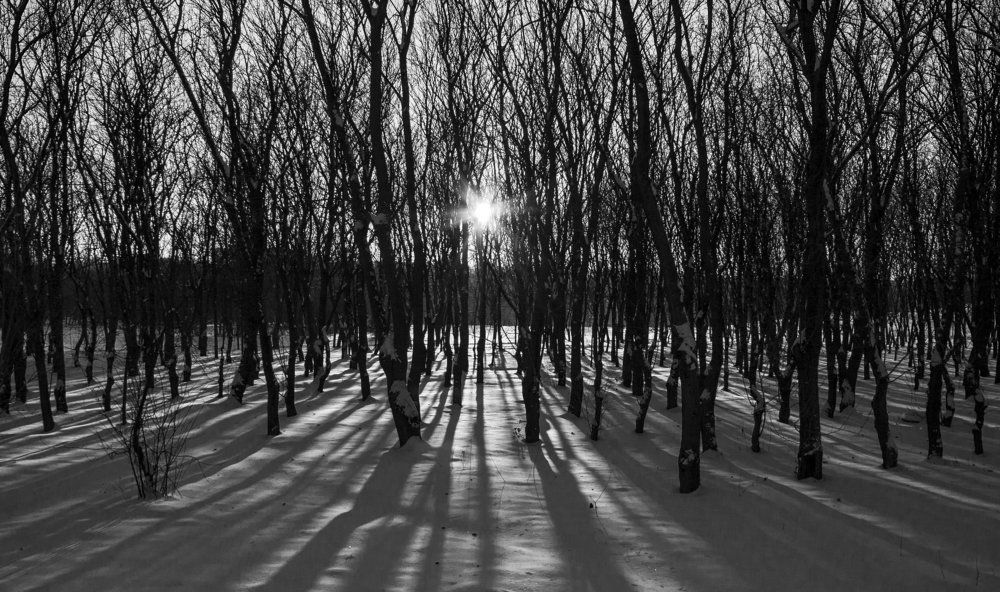 A place for rest and shift