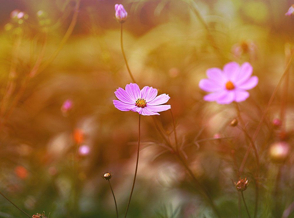 Photograph by Мария