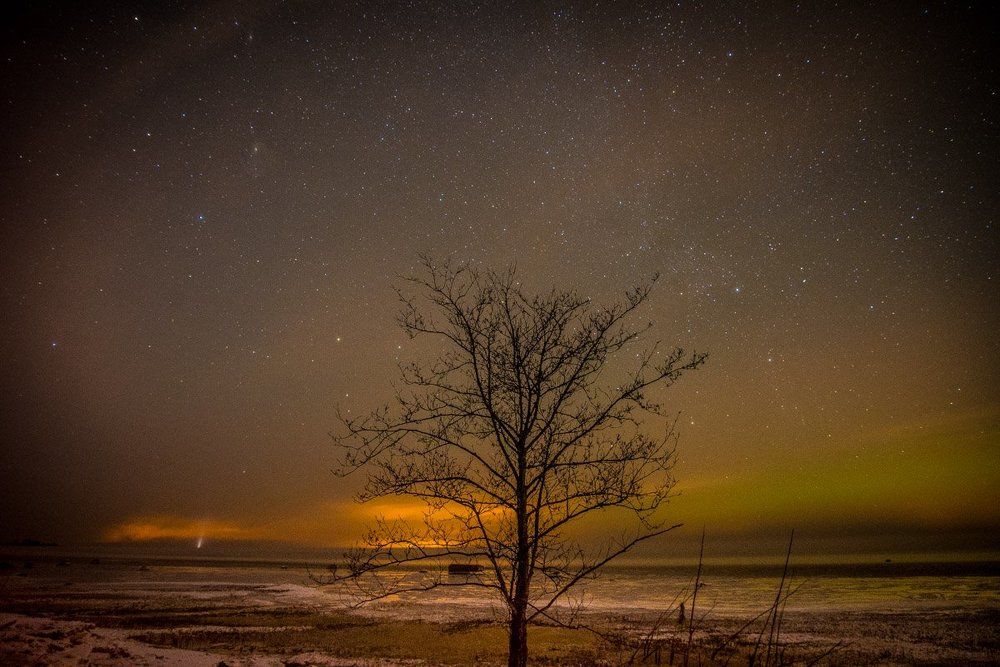 Одинокий в ночи