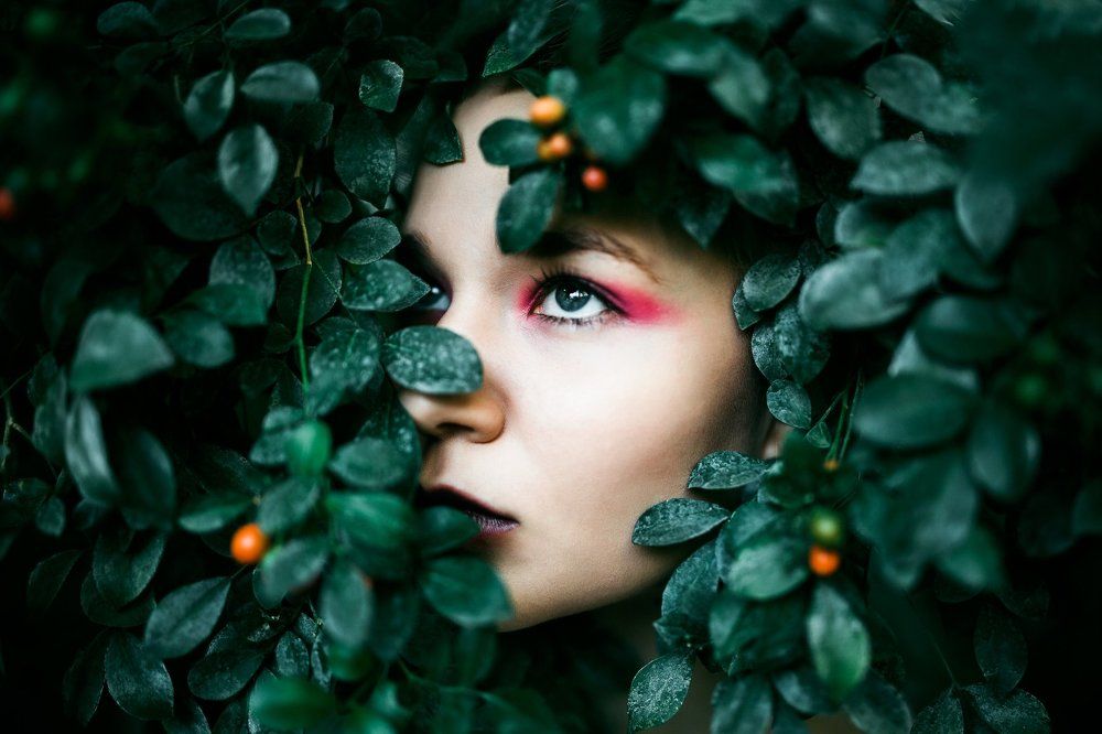 Фотография автора Алексей