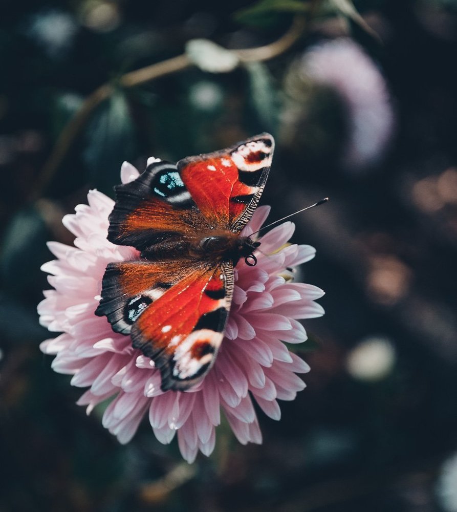 Photograph by Оксана Борисова