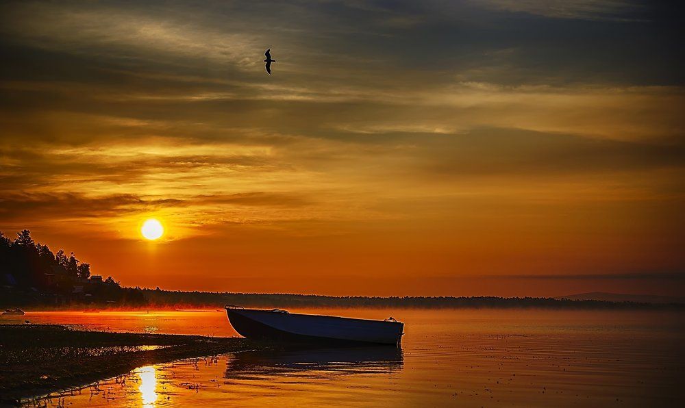 Золото рассвета...