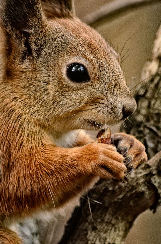 Наталья, Russia