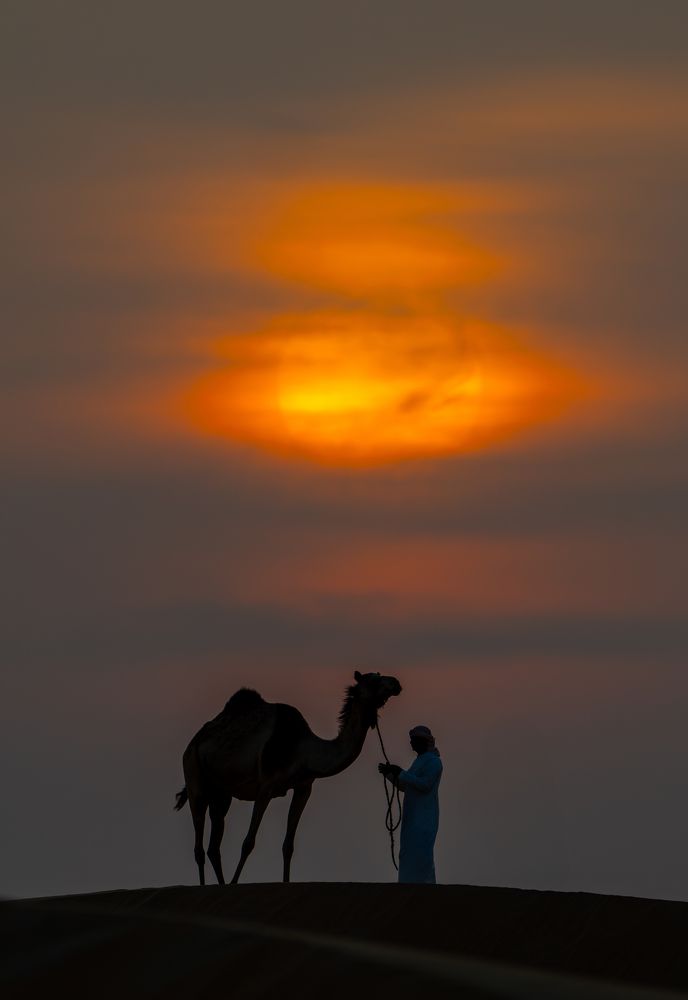 Sunset At Arabian Desert