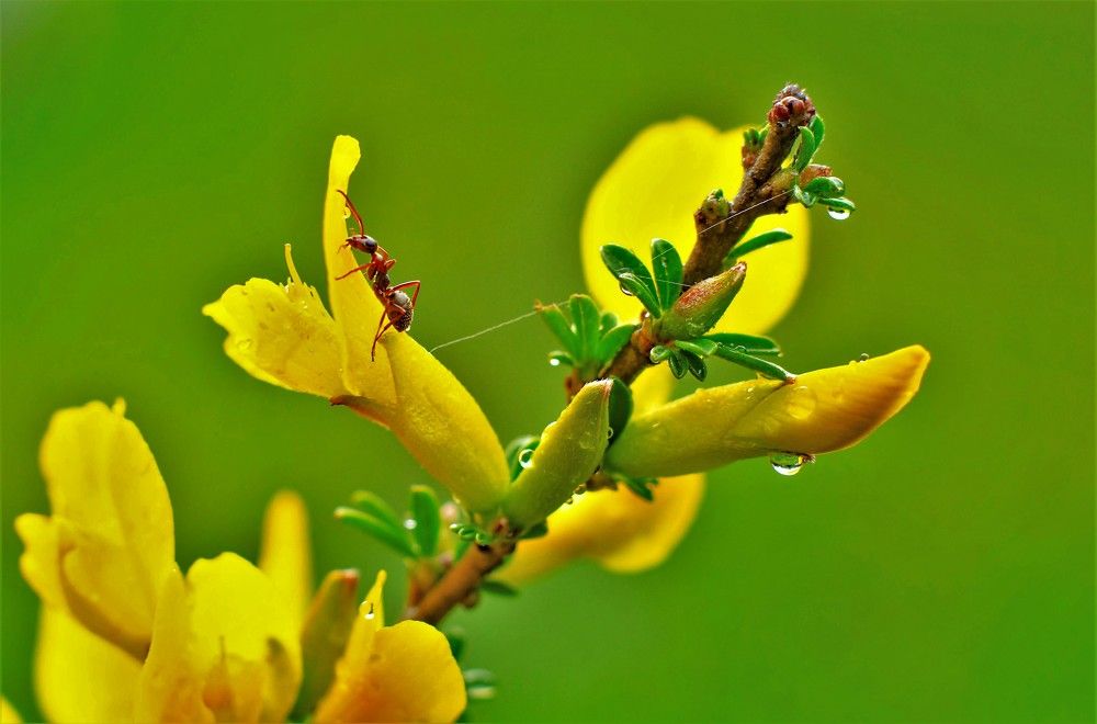 Photograph by Сиваков Алексей