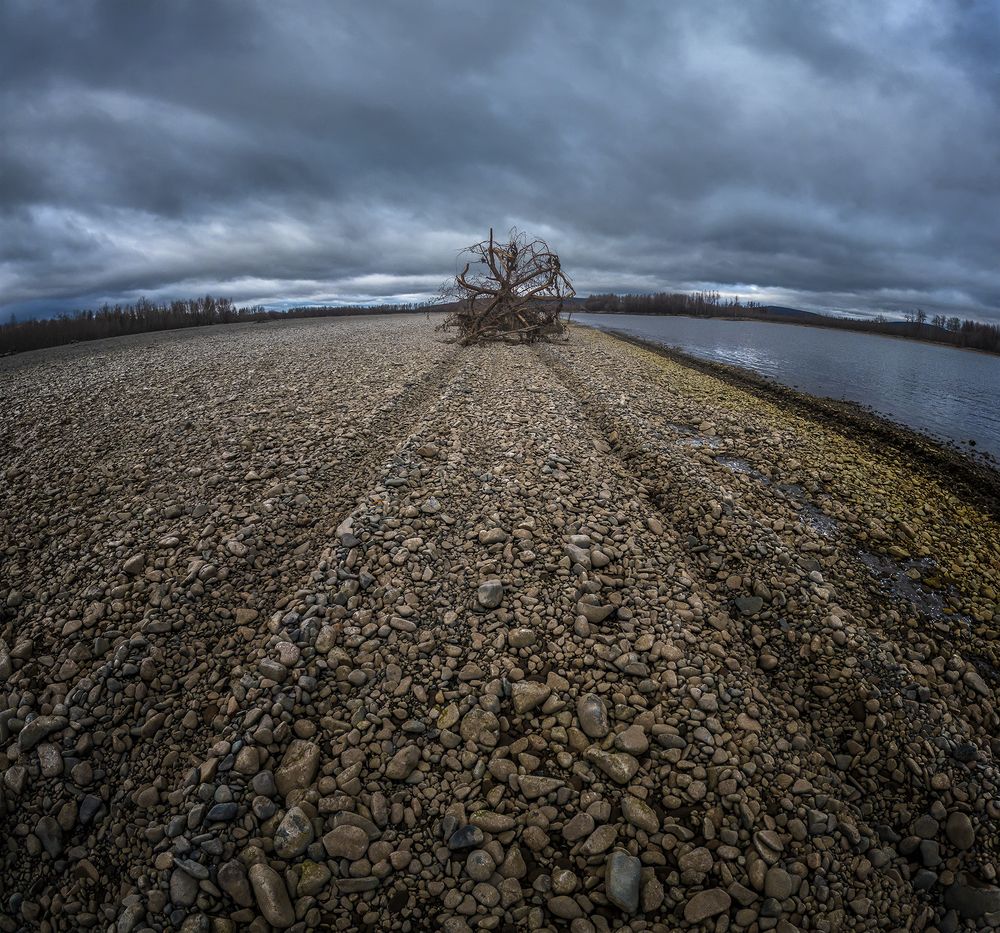 Photograph by Андреев Николай