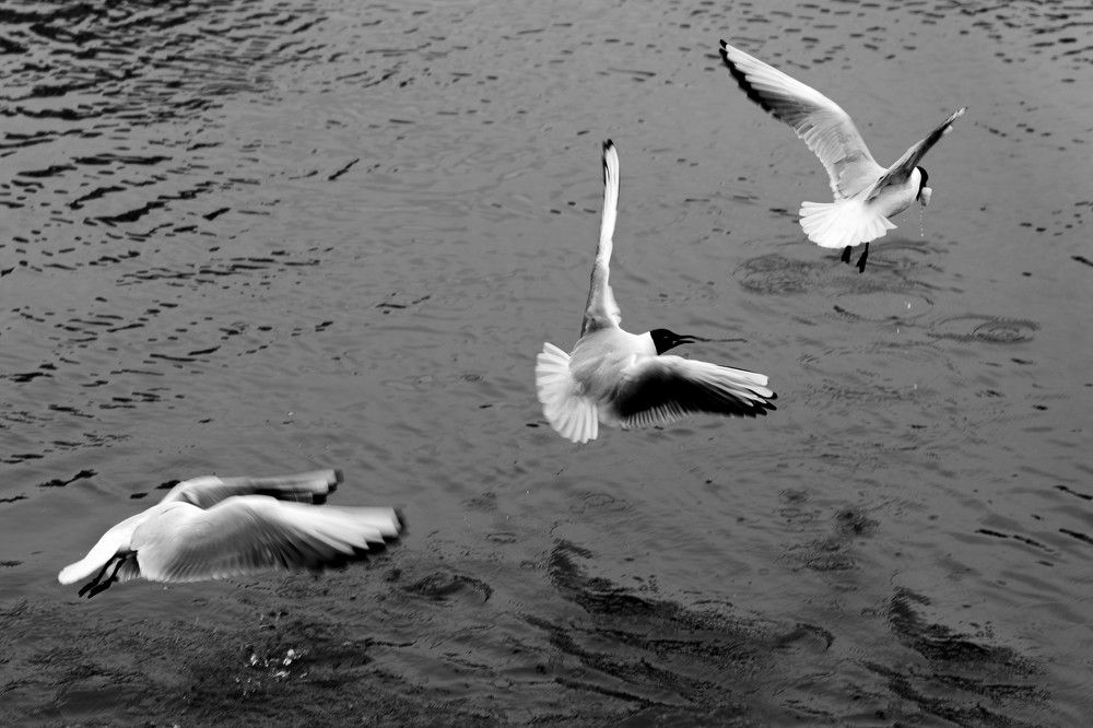 Photograph by Наталия Карни