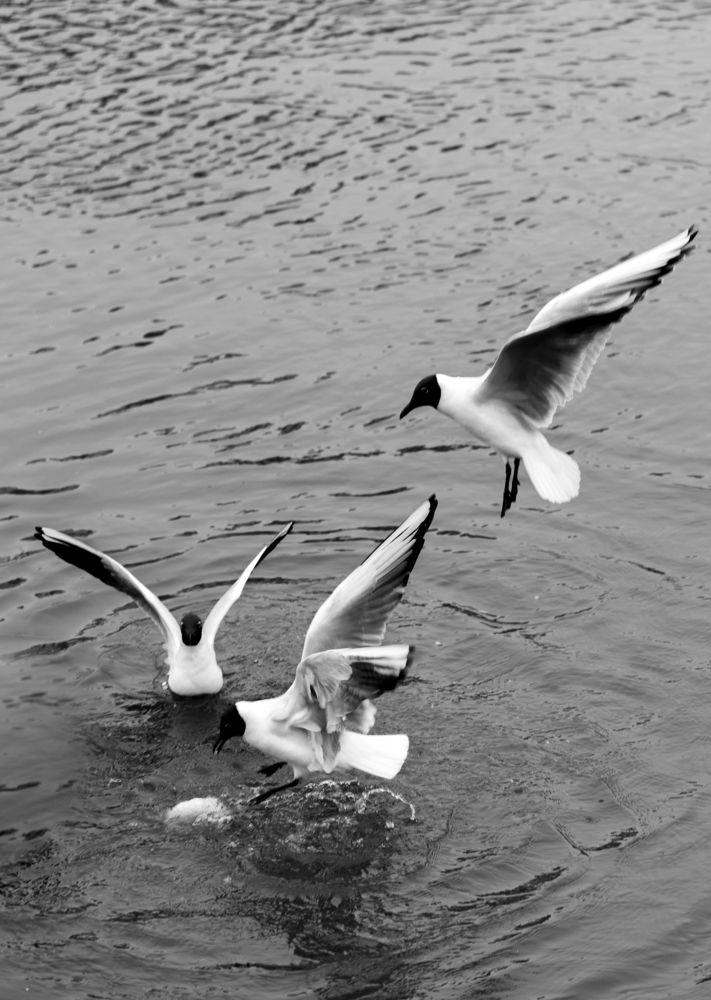 Photograph by Наталия Карни