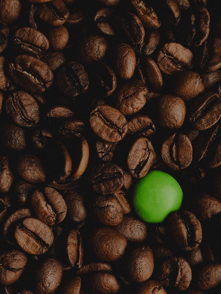 Photograph by Maria Stankevich