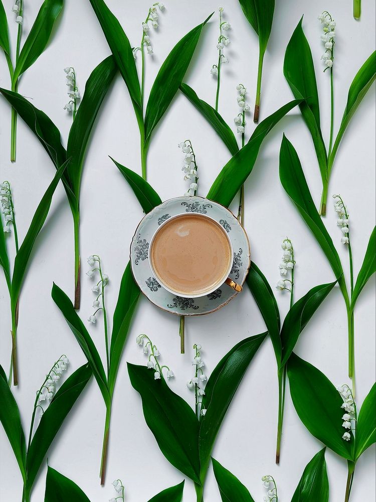 Photograph by Maria Stankevich