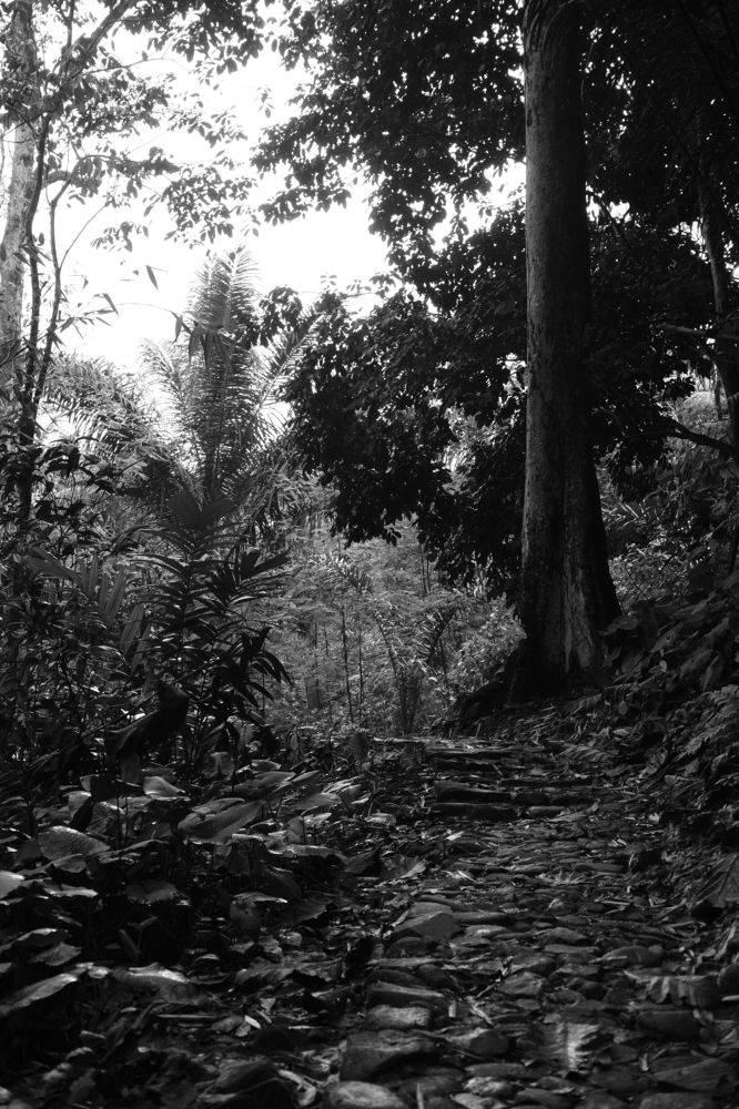 Фотография автора Rifai Annas