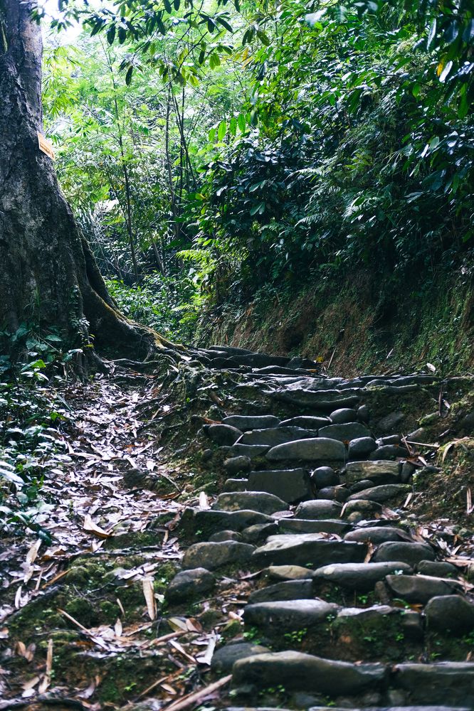 Фотография автора Rifai Annas