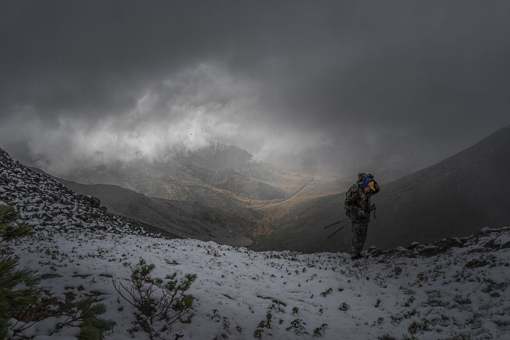 Photograph by Светлана Гореликова