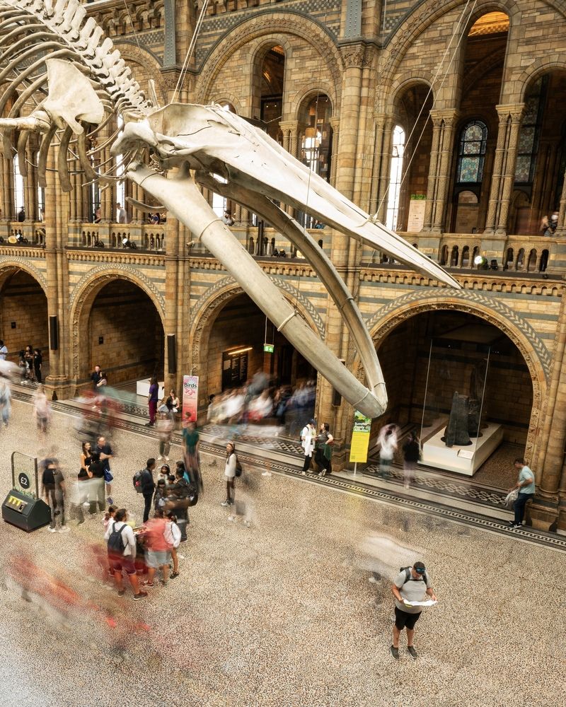 Фотография автора David Vargas