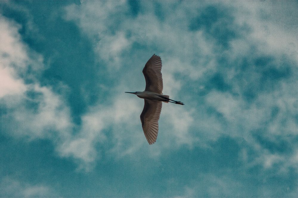 Фотография автора Muhammad Radi