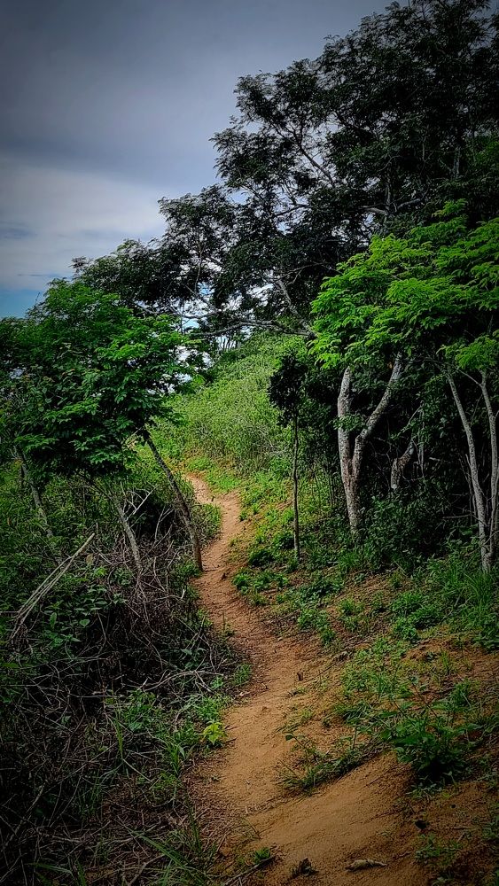 Photograph by Gr Marie