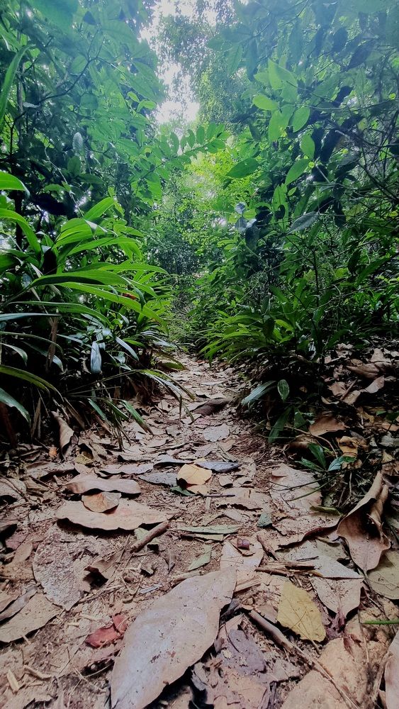 Photograph by Gr Marie