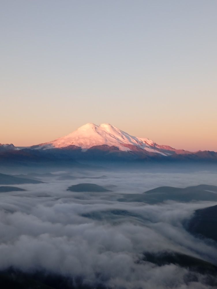 Photo #11250255