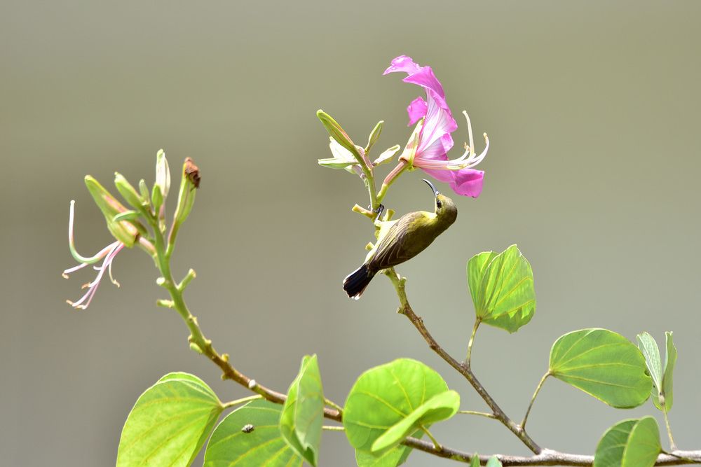 Photograph by Игорь Боголюбов