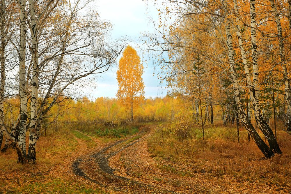 Photograph by Андрей Стародубцев