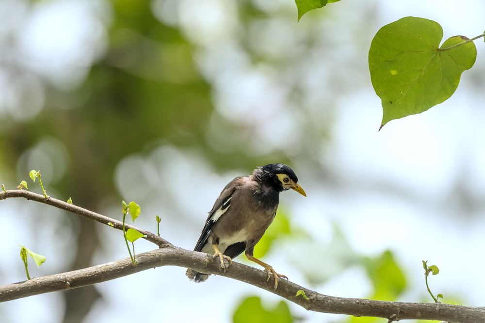 Photograph by Игорь Боголюбов