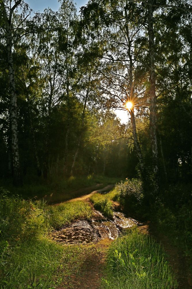 Photograph by Андрей Стародубцев