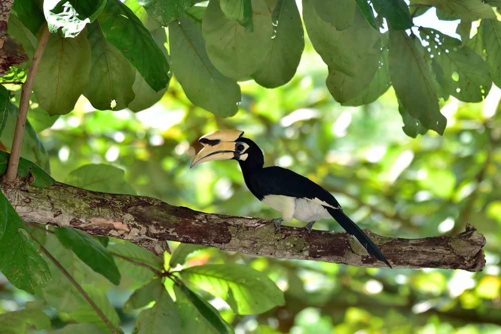 Photograph by Игорь Боголюбов