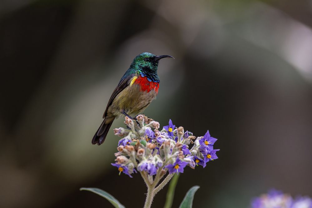 Photograph by Syed Ahmar Amjad