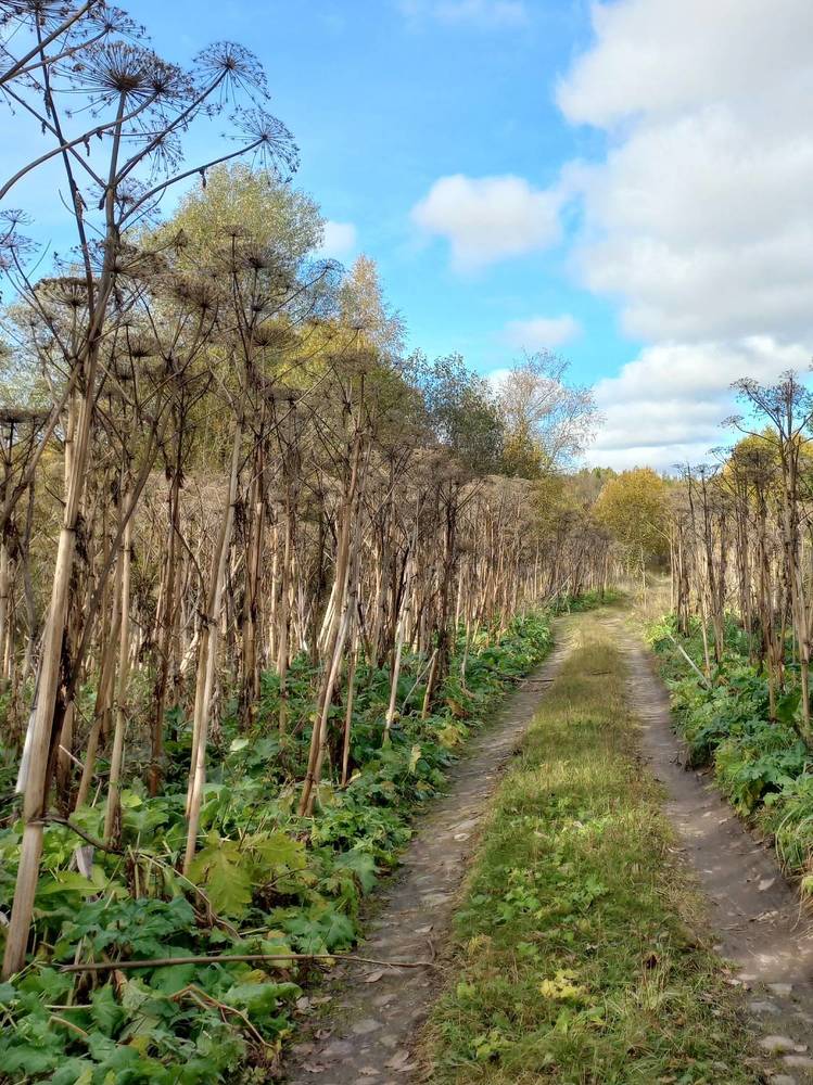 Photograph by Зоя Кулько