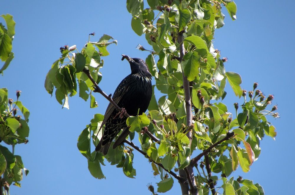 Photograph by Елизавета Большакова