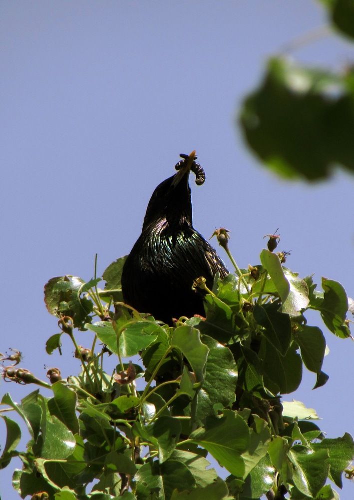 Photograph by Елизавета Большакова