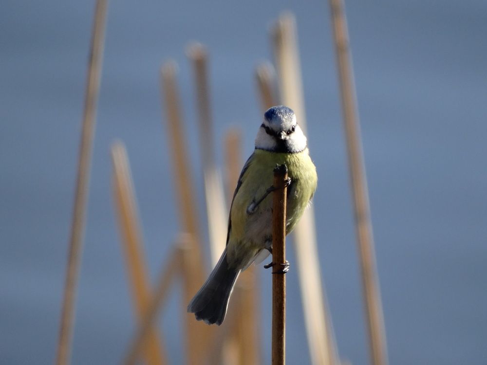 Photograph by Ирина Половцева
