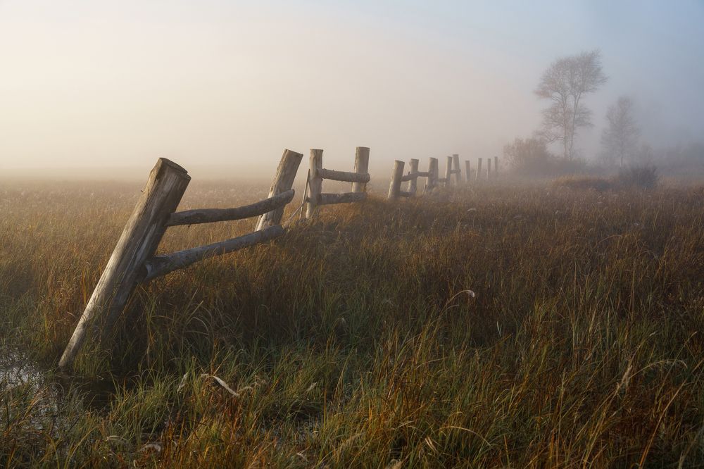 Photograph by Нерозя Александр