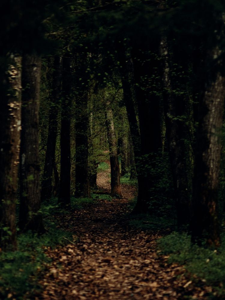 Photograph by Борис Челышев