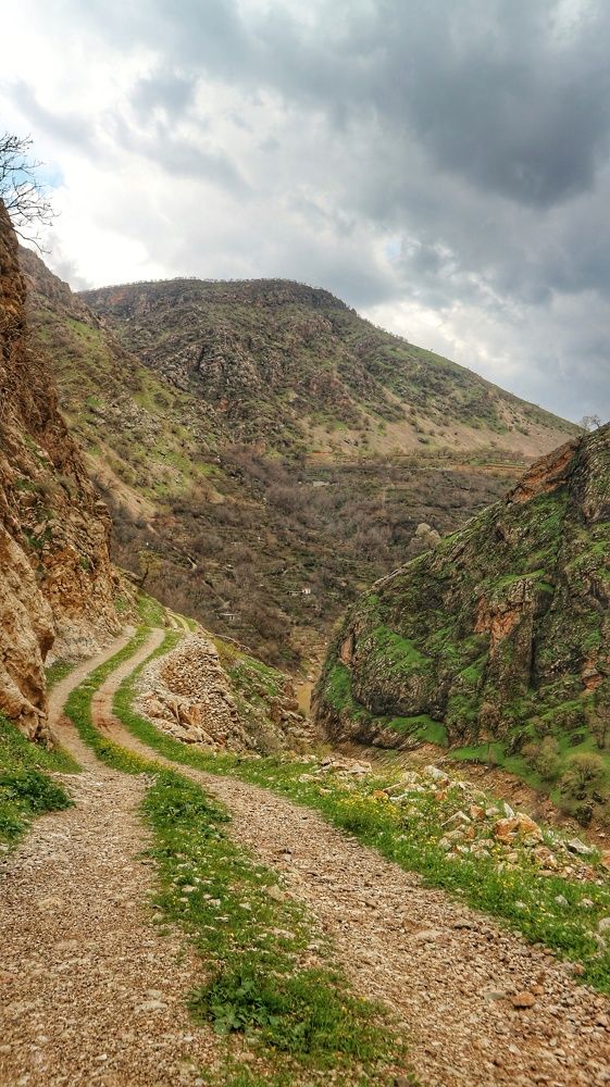 Photograph by Seyed-Sajad Hamedheydari