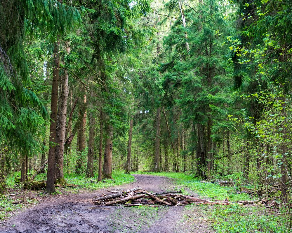 Photograph by Валерий Петухов