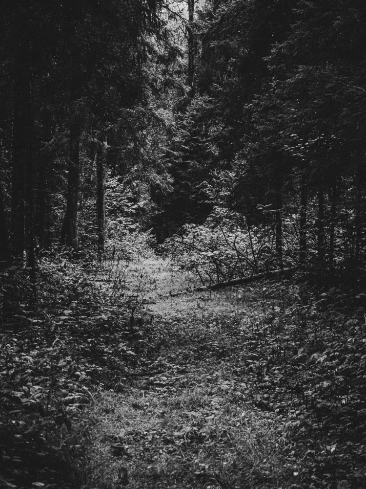 Photograph by Борис Челышев