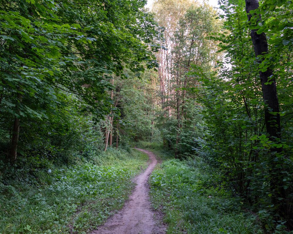 Photograph by Валерий Петухов